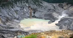Fullday Bandung Volcano Tour by Train from Jakarta with insurance